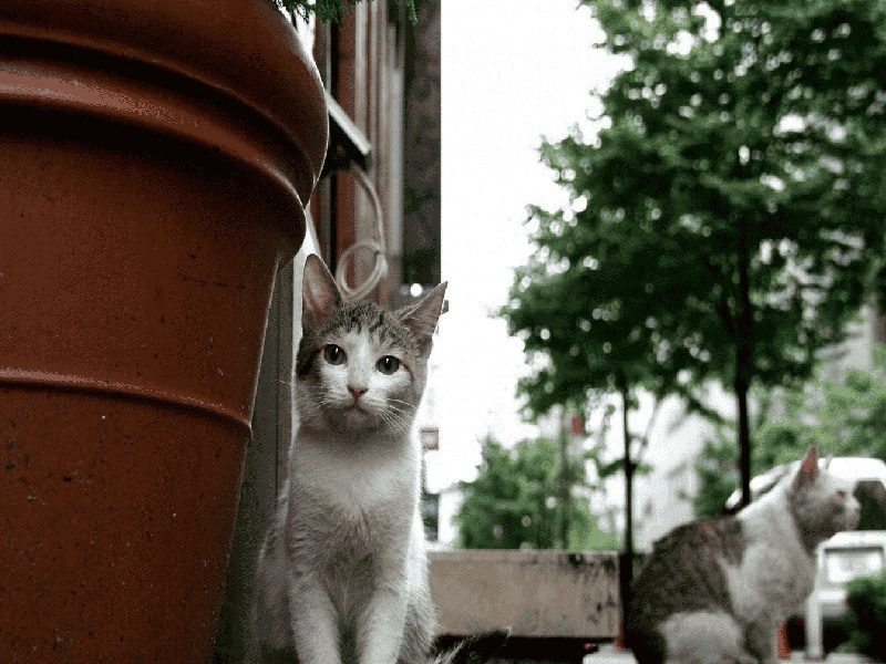 老公想去做试管(核酸试管异常原因)